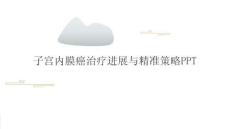 子宮內(nèi)膜癌治療進(jìn)展與精準(zhǔn)策略PPT