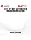 2025年中国锌，无砷行业市场规模及投资前景预测分析报告