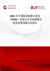2025年中國陸地集群無線電（TETRA）系統行業(yè)市場規(guī)模及投資前景預測分析報告