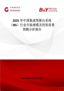 2025年中国集成驾驶台系统 （IBS）行业市场规模及投资前景预测分析报告