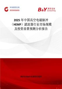 2025年中國高空電磁脈沖（HEMP）濾波器行業市場規模及投資前景預測分析報告