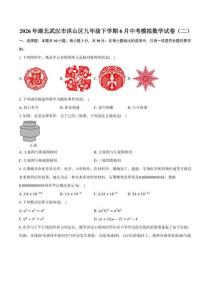 2026年湖北武汉市洪山区九年级下学期6月中考模拟数学试卷（二）（含答案）