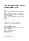 2026年统编版小学语文一年级下册期末阅读理解专项复习卷附答案