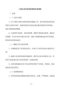 小微企業財務報表編制標準模板