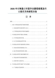 2026中亚制造业转型升级路径梳理及行业投资方向研究报告