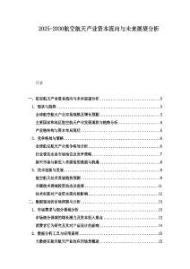 2025-2030航空航天产业资本流向与未来展望分析