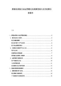 跨境电商独立站运营模式及流量变现与支付结算分析报告