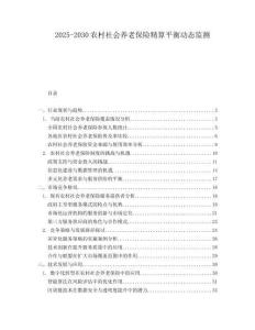 2025-2030農村社會養老保險精算平衡動態監測