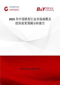 2025年中国铁型行业市场规模及投资前景预测分析报告