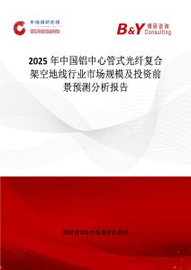 2025年中国铝中心管式光纤复合架空地线行业市场规模及投资前景预测分析报告