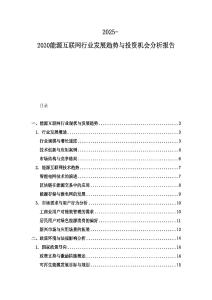 2025-2030能源互聯(lián)網(wǎng)行業(yè)發(fā)展趨勢與投資機會分析報告