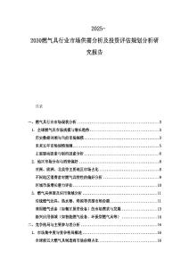 2025-2030燃气具行业市场供需分析及投资评估规划分析研究报告