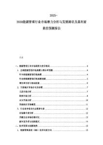 2025-2030能源管理行業(yè)市場(chǎng)潛力分析與發(fā)展路徑及盈利前景的預(yù)測(cè)報(bào)告