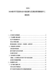 2025-2030软件开发服务业市场监测与发展前景预测软件工程资料