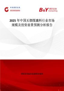 2025年中國無煙煤漉料行業市場規模及投資前景預測分析報告