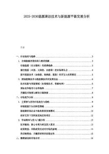 2025-2030能源清潔技術與新能源平衡發展分析