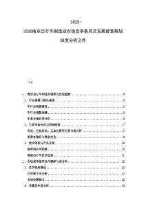 2025-2030南亞自行車制造業(yè)市場競爭格局及發(fā)展前景規(guī)劃深度分析文件
