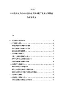 2025-2030航空航天行業(yè)市場綜述及商業(yè)航天發(fā)展與國際競爭策略研究
