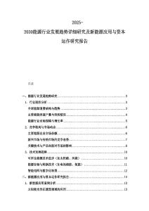 2025-2030能源行業發展趨勢詳細研究及新能源應用與資本運作研究報告