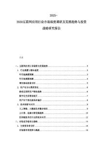 2025-2030互聯網應用行業市場深度調研及發展趨勢與投資戰略研究報告