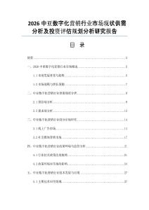 2026中亞數(shù)字化營(yíng)銷行業(yè)市場(chǎng)現(xiàn)狀供需分析及投資評(píng)估規(guī)劃分析研究報(bào)告