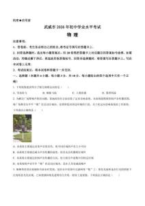 2026年甘肃武威市中考物理真题卷（含答案与解析）