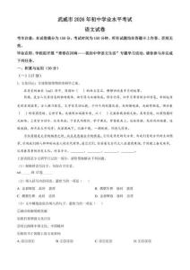 2026年甘肃省武威市中考语文试题（解析版）