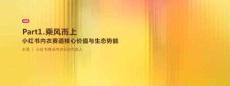 小紅書內衣賽道核心價值與生態勢能