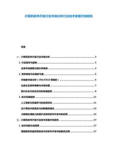 計(jì)算機(jī)軟件開發(fā)行業(yè)市場(chǎng)分析行業(yè)技術(shù)發(fā)展方向報(bào)告
