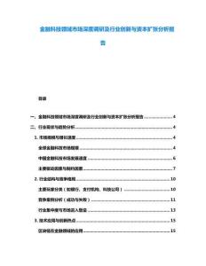 金融科技领域市场深度调研及行业创新与资本扩张分析报告