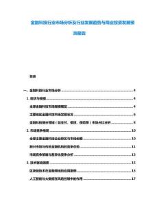 金融科技行业市场分析及行业发展趋势与商业投资发展预测报告