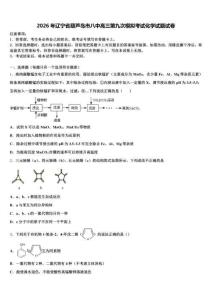2026年辽宁省葫芦岛市八中高三第九次模拟考试化学试题试卷含解析