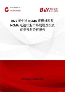 2025年中国NCMA正极材料和NCMA电池行业市场规模及投资前景预测分析报告