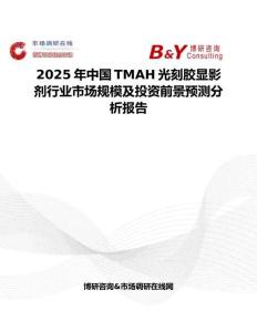 2025年中國(guó)TMAH光刻膠顯影劑行業(yè)市場(chǎng)規(guī)模及投資前景預(yù)測(cè)分析報(bào)告
