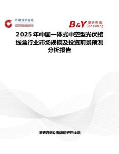 2025年中国一体式中空型光伏接线盒行业市场规模及投资前景预测分析报告