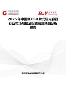2025年中国低ESR片式钽电容器行业市场规模及投资前景预测分析报告