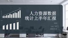 人力资源数据统计上半年汇报