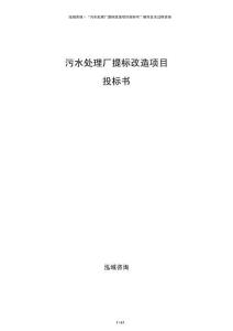 污水处理厂提标改造项目投标书