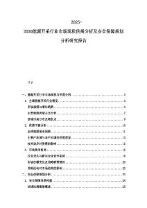 2025-2030能源开采行业市场现状供需分析及安全保障规划分析研究报告