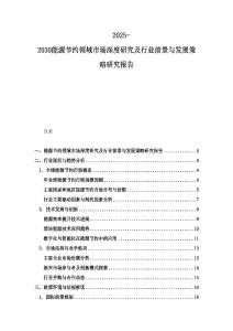 2025-2030能源节约领域市场深度研究及行业前景与发展策略研究报告