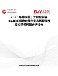 2025年中国基于外部控制器(ECB)的磁盘存储行业市场规模及投资前景预测分析报告