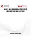 2025年中国氯唑西林行业市场规模及投资前景预测分析报告