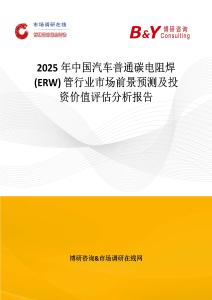 2025年中國汽車普通碳電阻焊 (ERW) 管行業市場前景預測及投資價值評估分析報告