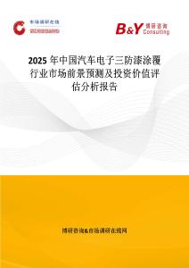 2025年中国汽车电子三防漆涂覆行业市场前景预测及投资价值评估分析报告
