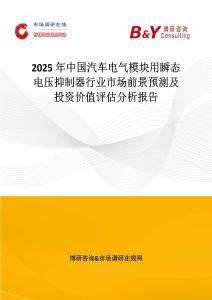 2025年中國汽車電氣模塊用瞬態(tài)電壓抑制器行業(yè)市場前景預(yù)測及投資價值評估分析報告