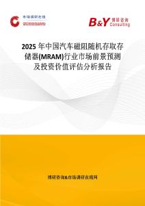 2025年中國汽車磁阻隨機(jī)存取存儲(chǔ)器(MRAM)行業(yè)市場前景預(yù)測及投資價(jià)值評(píng)估分析報(bào)告