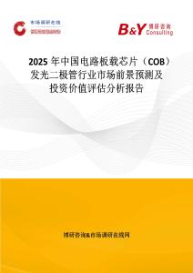 2025年中國電路板載芯片（COB）發光二極管行業市場前景預測及投資價值評估分析報告