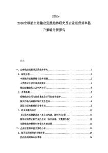 2025-2030全球航空运输业发展趋势研究及企业运营效率提升策略分析报告
