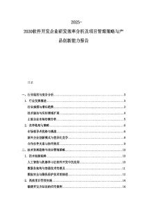 2025-2030软件开发企业研发效率分析及项目管理策略与产品创新能力报告