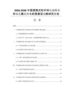 2026-2030中国便携式和手持电视行业市场发展趋势与前景展望战略研究报告